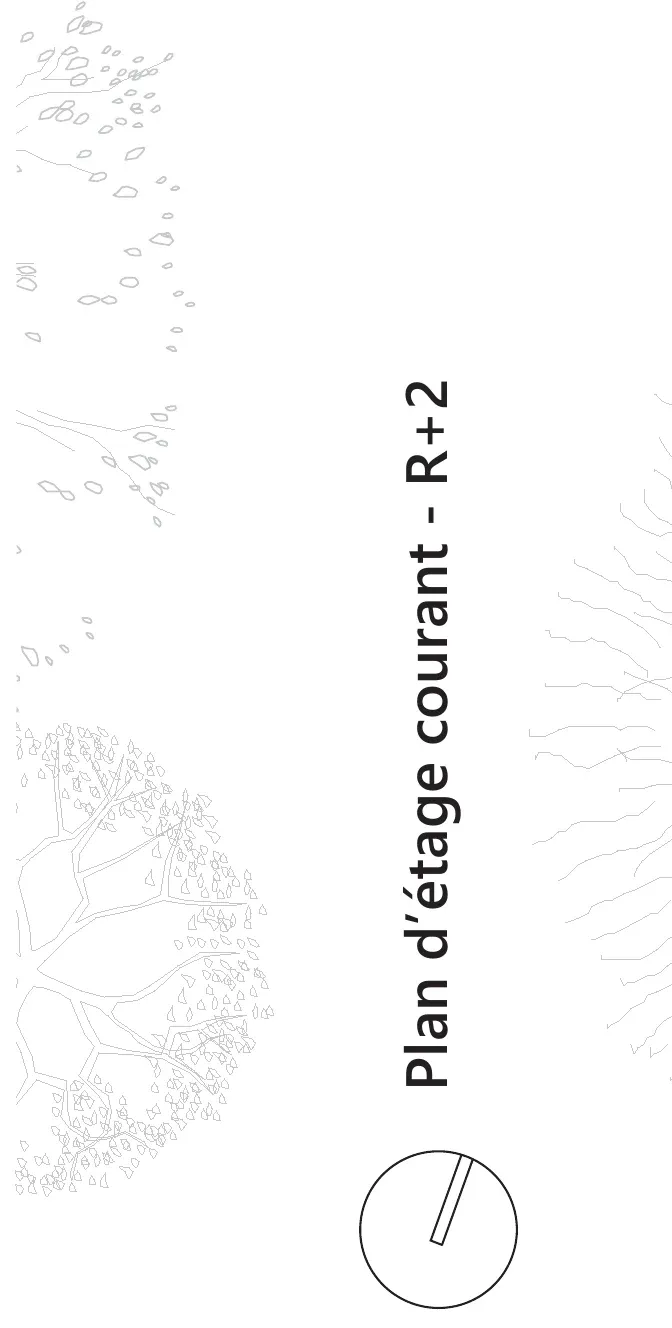 De la fenêtre à la rue — visuel 7 sur 19