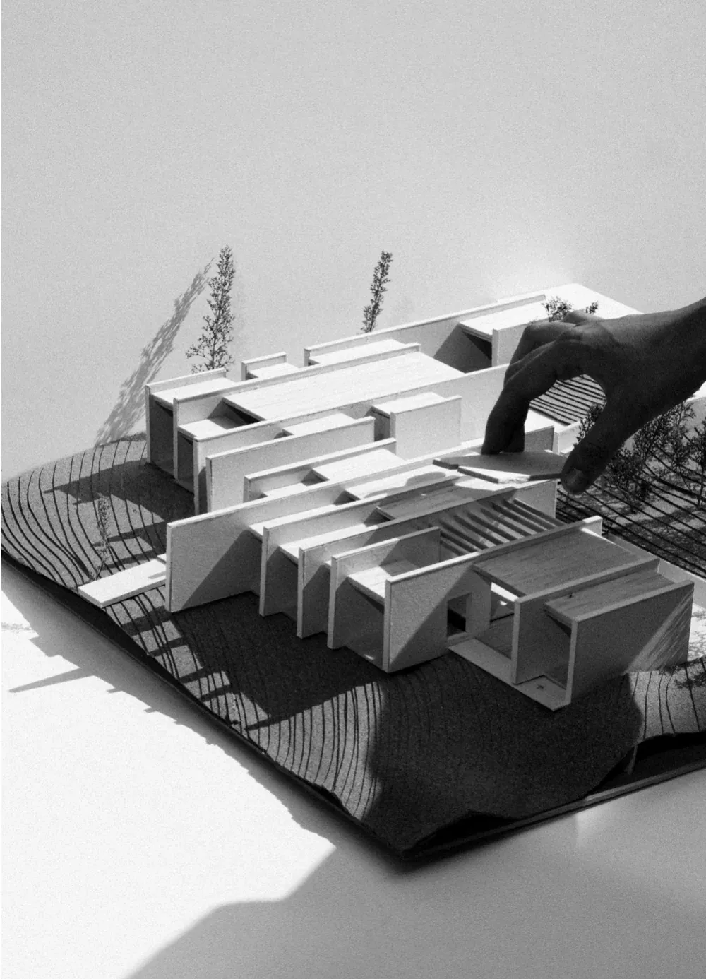 Habiter & travailler en symbiose — visuel 4 sur 17
