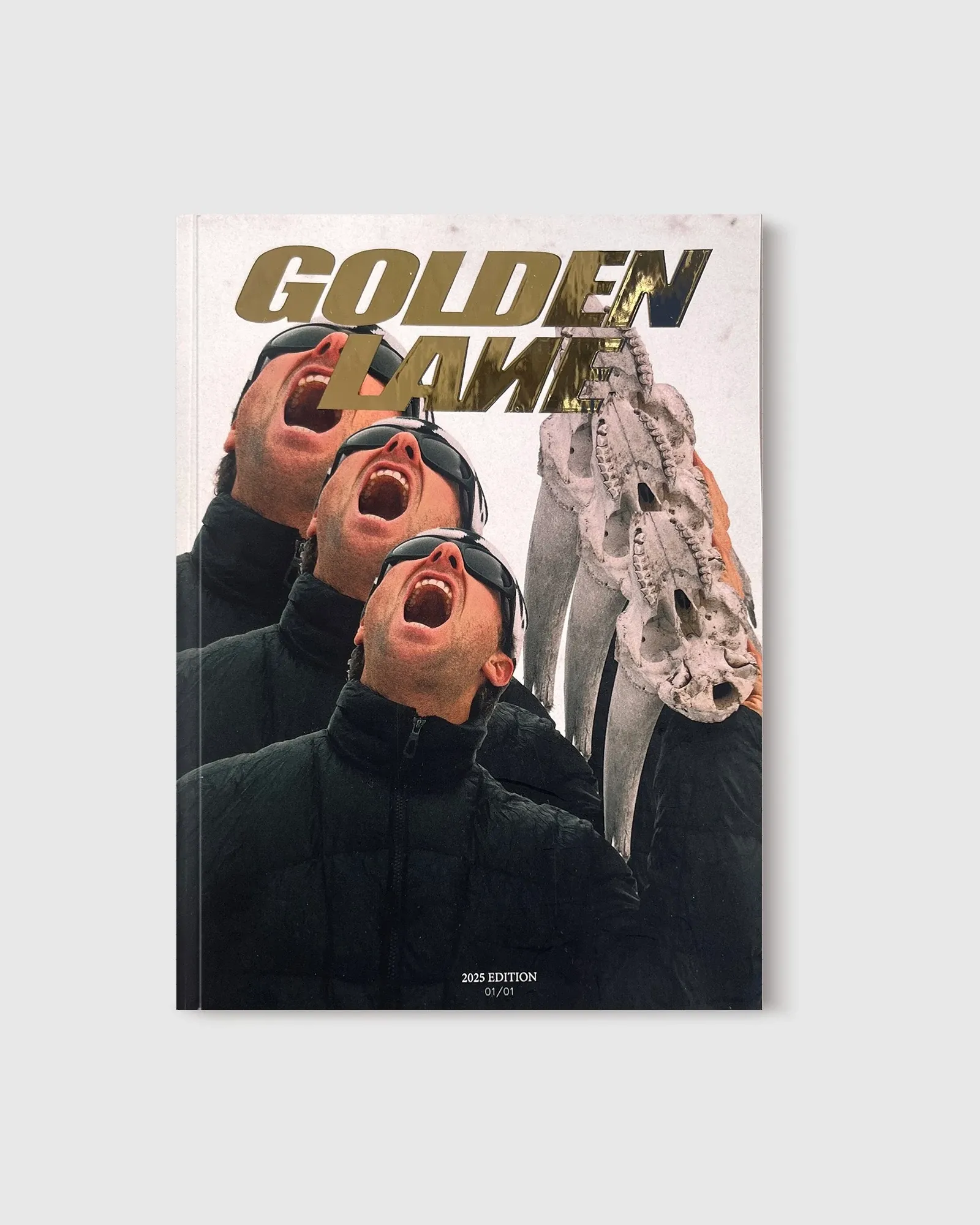 Magazine photo — visuel 2 sur 11