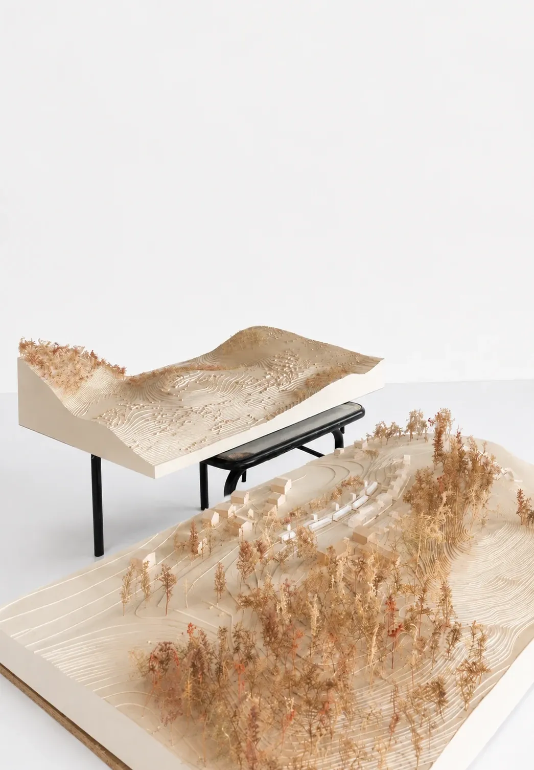 Village Olympique 2030, Alpes françaises, Saint-Jean-de-Sixt, Haute-Savoie — visuel 21 sur 22